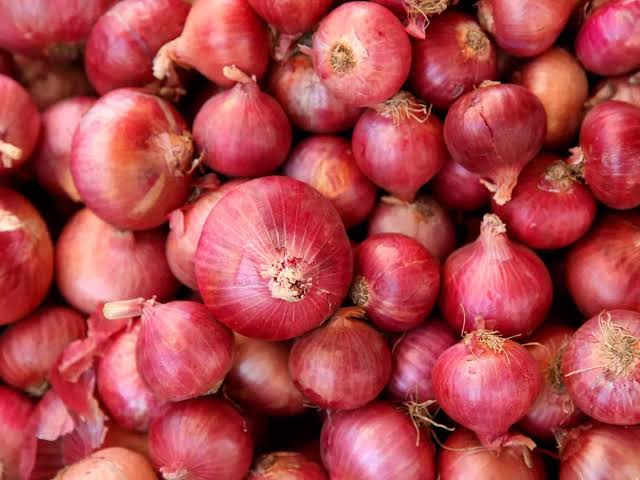 Natural Onions, for Cooking, Home, Hotels, Packaging Type : Gunny Bag