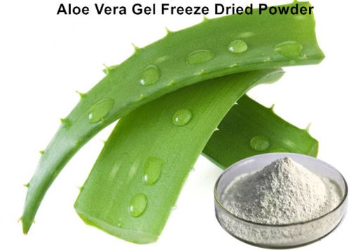 Freeze Dried Aloe Vera Powder