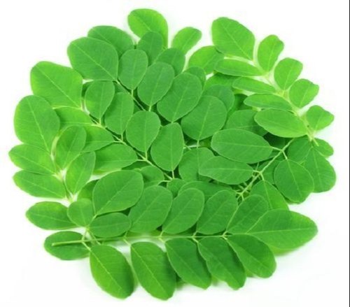 Moringa Leaves, for Food, Packaging Type : Bag
