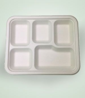Rectangular DR-5F01 Disposable Tray, for Pacing Or Serving Food, Pattern : Plain