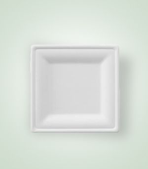 Square DR-KS-DP10 Disposable Plate, for Serving Food, Pattern : Plain