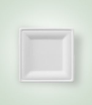Square DR-KS-DP66 Disposable Plate, for Serving Food, Pattern : Plain