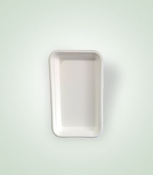 DS-195 Disposable Tray, Size : 195*110*20