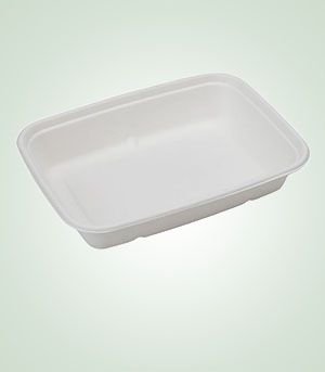 Plain DS-BL28 Disposable Tray, Size : 2230*156*45