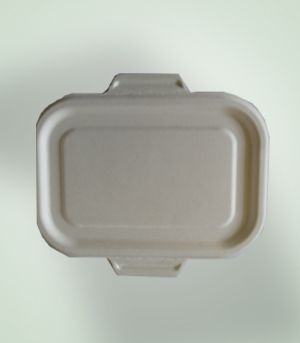 Plain DS-BLD174A Disposable Box, Storage Capacity : 500/650/750ml