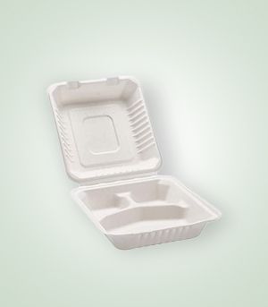 DS-DHL81 Disposable Hinged Container