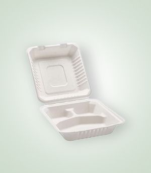 DS-HL91 Disposable Hinged Container, for Food Packaging, Size : 468*232*46