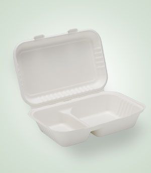 DS-HL96-2 Disposable Hinged Container
