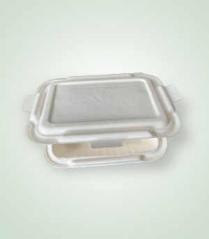 Rectangular DS-LB750 Disposable Box, for Packing Food, Feature : Recyclable, Moisture Proof