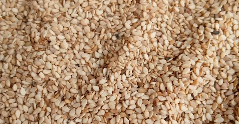 Sesame seeds, Purity : 98%