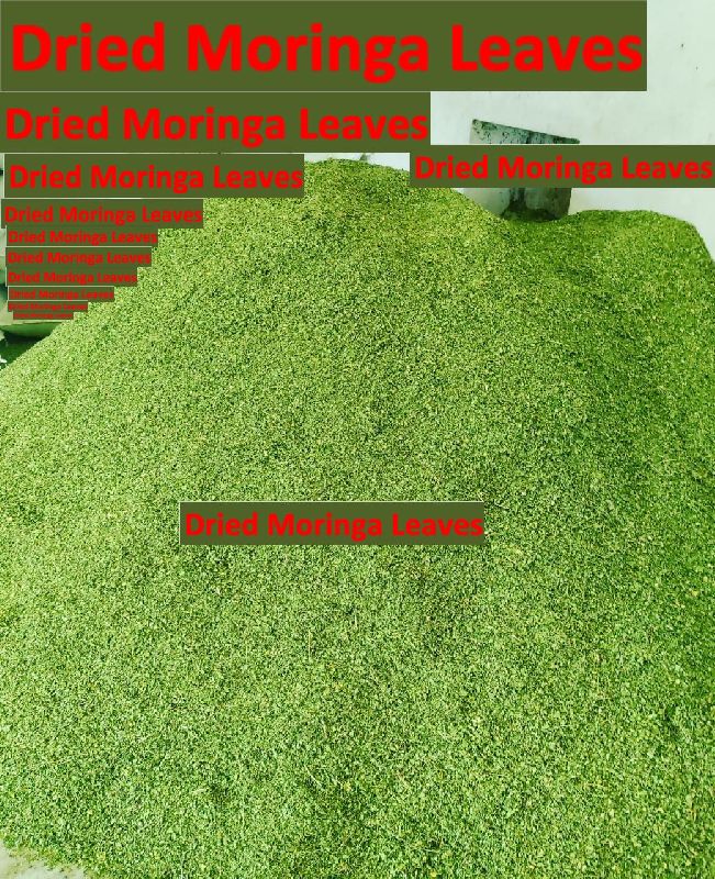 dried moringa leaves
