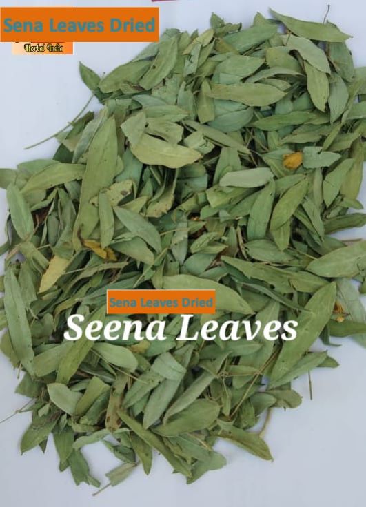 SEENA LEAVES DRIED
