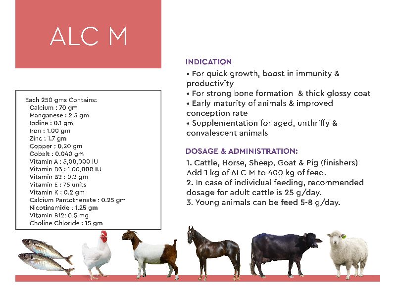 ALC M Cattle Feeds Supplements