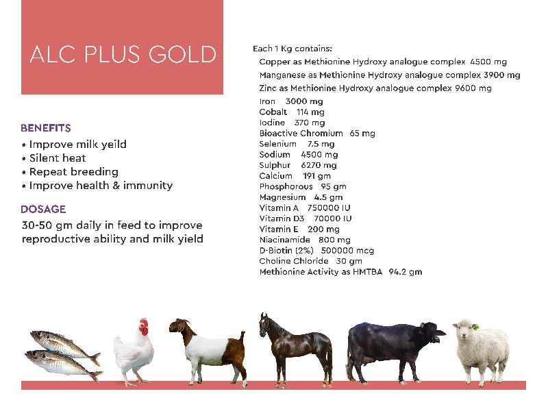 ALC Plus Gold Cattle Feeds Supplements