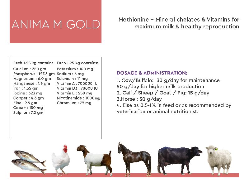 Anima A Gold  Cattle Feeds Supplements
