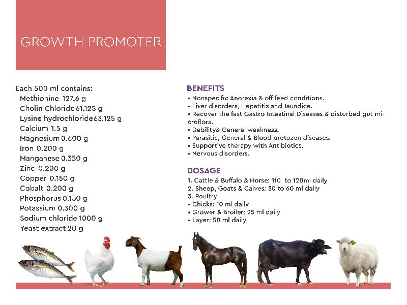 Growth Promoter Cattle Feeds Supplements