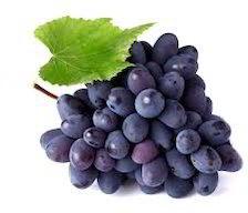 Fresh black grapes, Packaging Size : Carton or Boxes