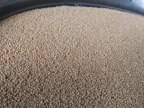 Amaranth Seeds, Packaging Size : 25kg