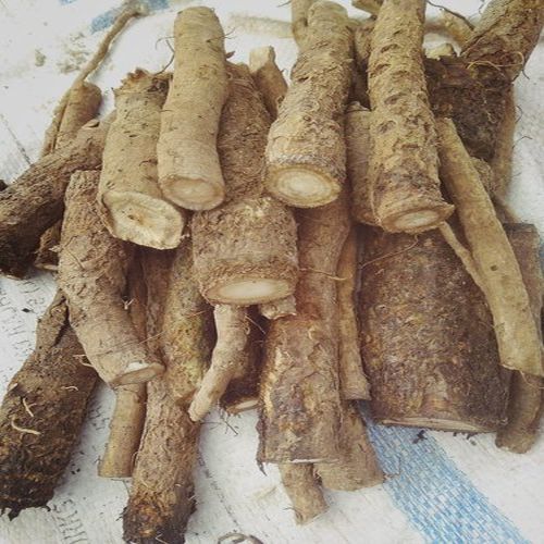 Brown Dried Burdock Root, Form : Raw