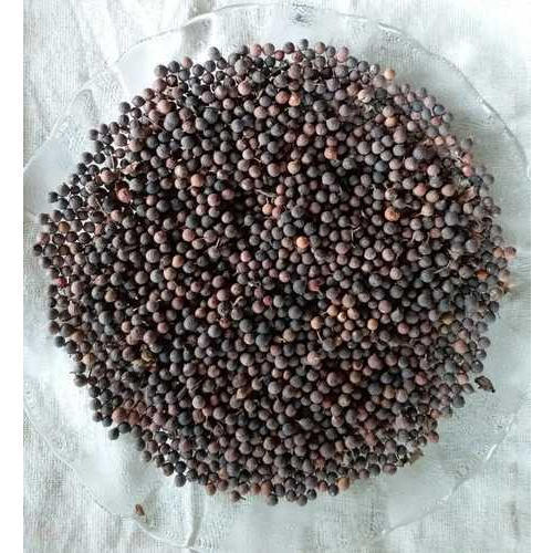 Baibidang Seeds, Packaging Size : 25 Kg