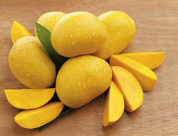 Fresh Organic Mango, for Human Consumption, Packaging Size : 10kg, 15kg, 20kg