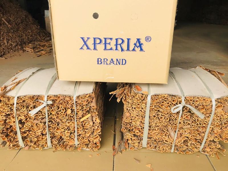 Xperia Seed Cassia, Condition : Dried