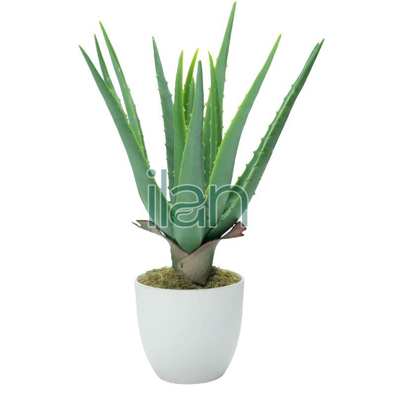 Aloe Artificial Plants, Color Green Tulsiani International, Surat