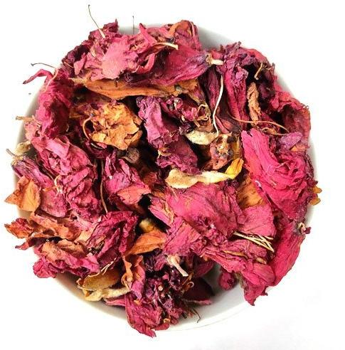 Dry Hibiscus Flower