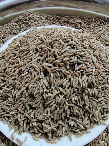 cumin seed