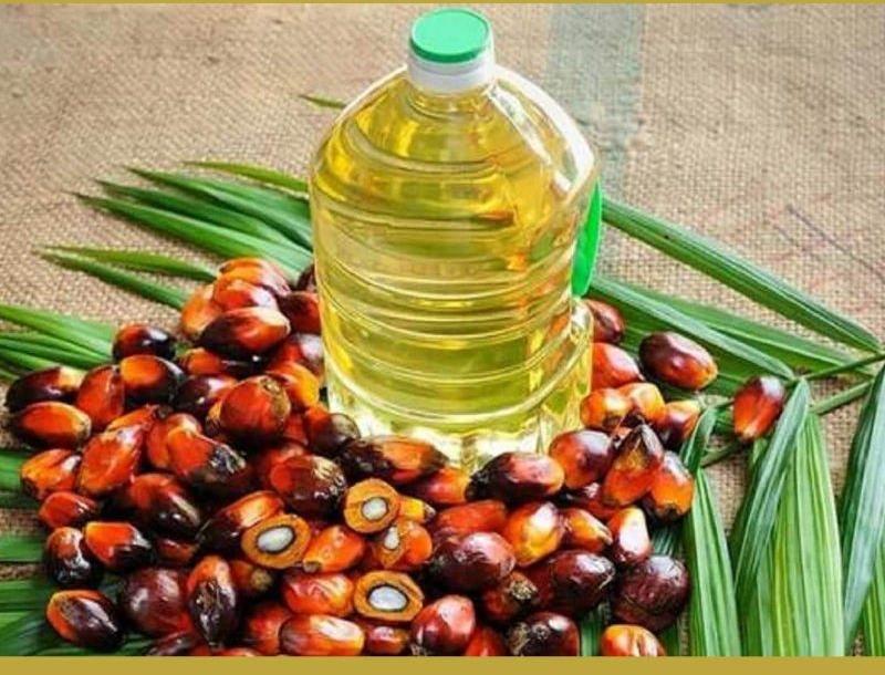 Palm Oil Cp 10