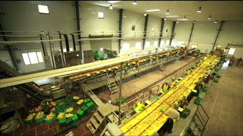 Automatic Mango Pulp Processing Plant, Capacity : 500 Kg/Hr