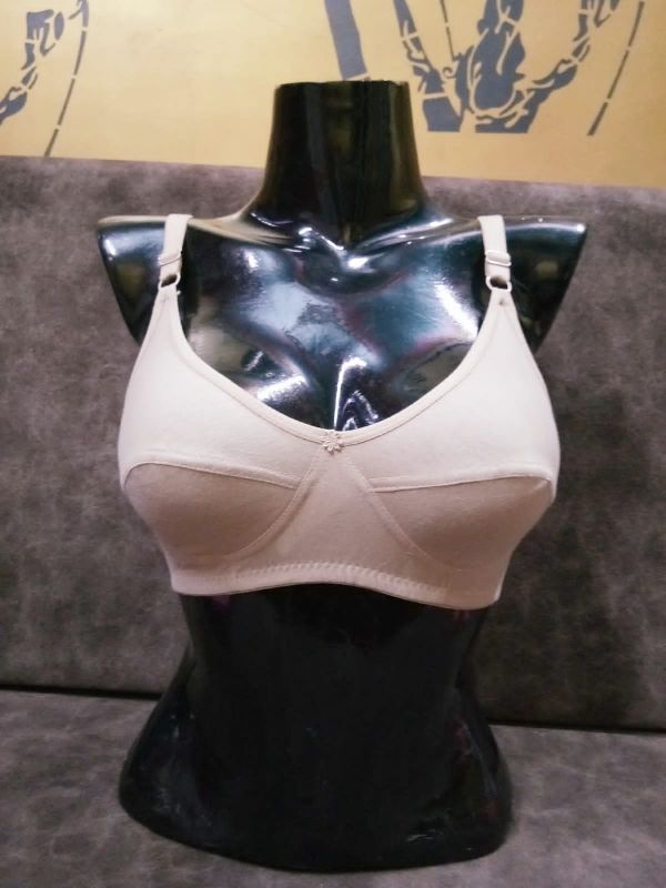 Light Blue Double Pocket Bra, Size : S to XL, Technics : Machine Made at Rs  80 / Piece in Meerut