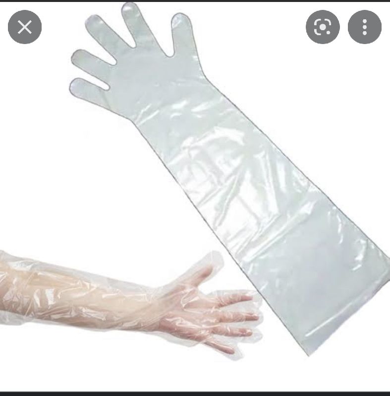 Asiatic Veterinary Appliances in Delhi Manufacturer of veterinary