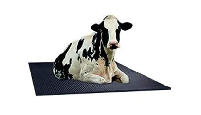 cow mat