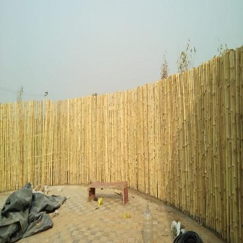 bamboo boundary wall