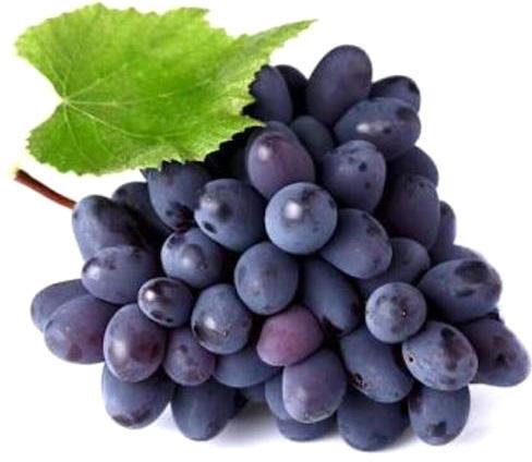 fresh black grapes