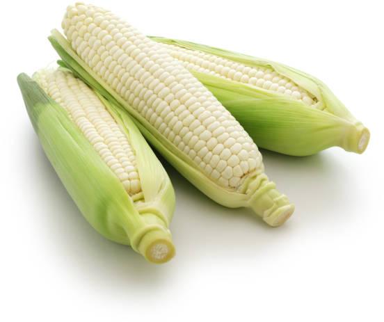 Fresh White Maize, for Human Consumption