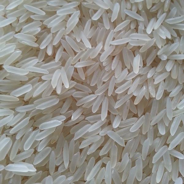 Organic Soft PR 14 Basmati Rice, Certification : FSSAI Certified
