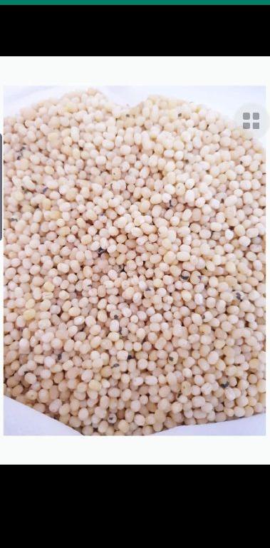 Organic whole white urad dal, for Cooking, Packaging Size : 5kg