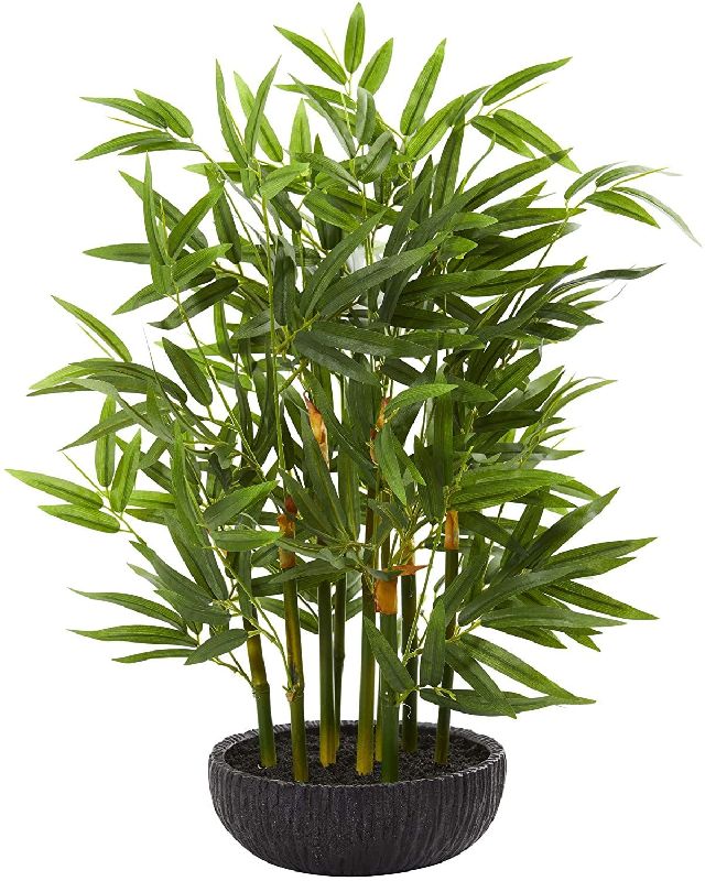 Coated Plastic Artificial Outdoor Plants, Feature : Dust Resistance, Easy Washable, Shiny
