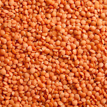 Red Lentils, For Cooking, Feature : Highly Hygienic, Healthy To Eat