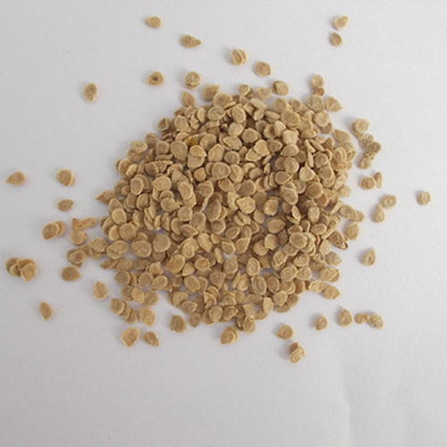 Brown Tomato Seeds, for Agriculture, Purity : 98%