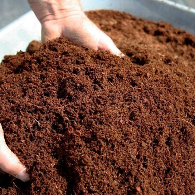 Coco Compost, for Agriculture