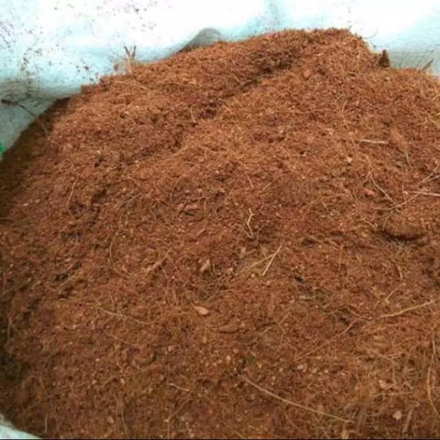 Coco peat, for Industrial, Form : Powder