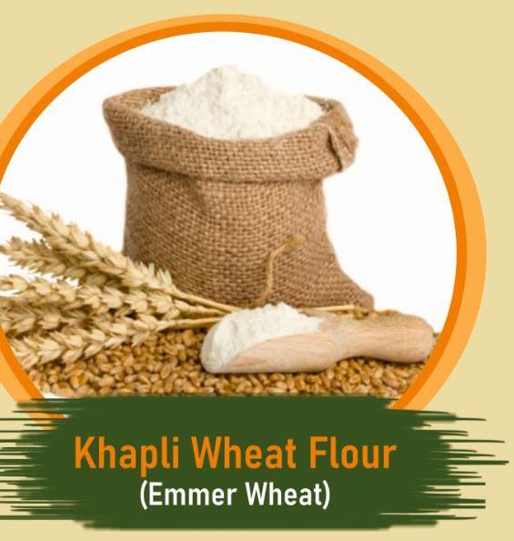 Khapli Wheat Flour
