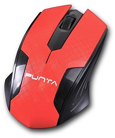 Computer Mouse