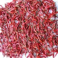 Teja Red Chilli, Length : 5-6 max