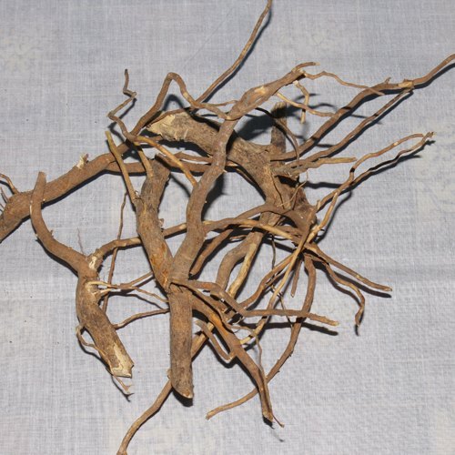 Vinca Rosea Roots