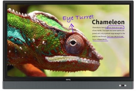 BenQ RM5501K Interactive Flat Panel