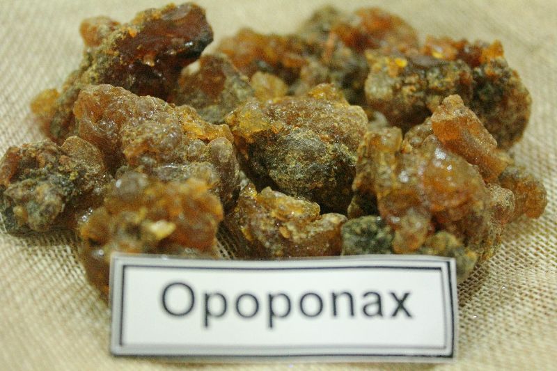 OPOPONAX ( BIG GUM MYRRH )